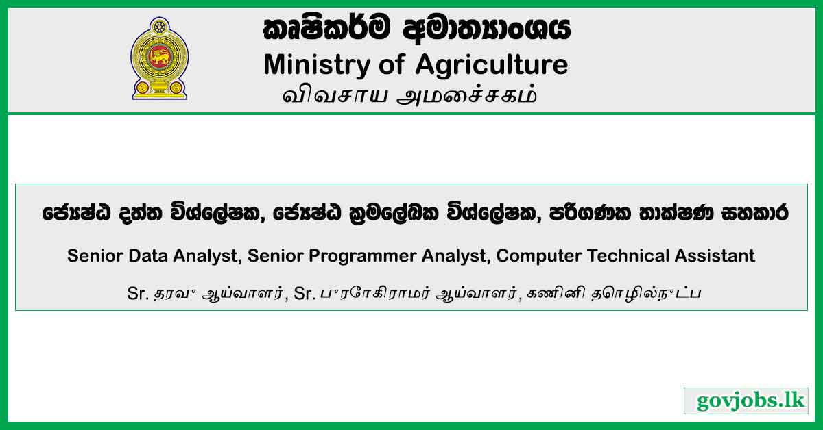 Senior Data Analyst, Senior Programmer Analyst, Computer Technical Assistant - Ministry Of Agriculture Job Vacancies 2024