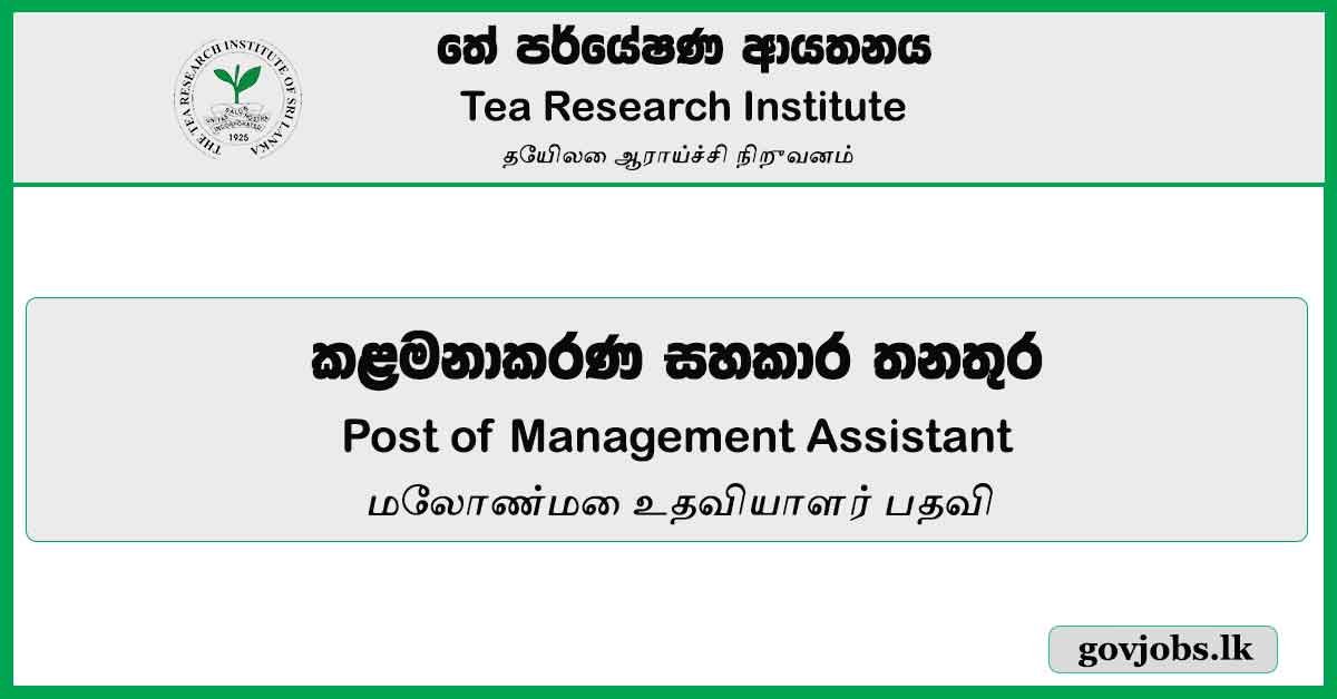 Post of Management Assistant (MA) - Tea Research Institute (TRI) Job Vacancies 2024