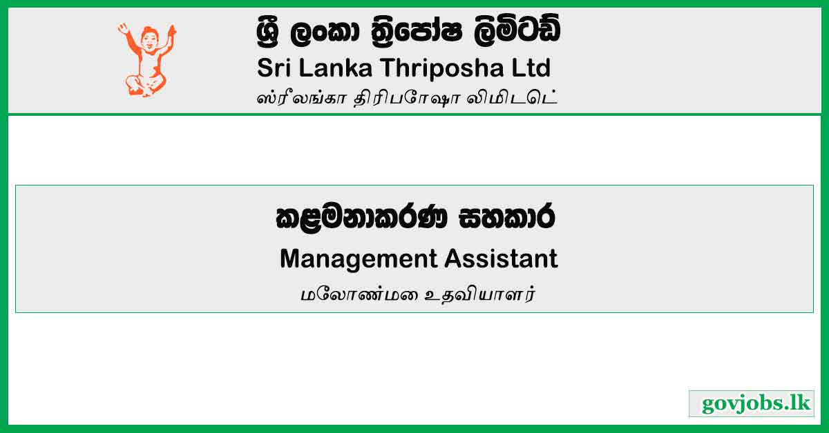 Management Assistant - Sri Lanka Thriposha Ltd Job Vacancies 2024