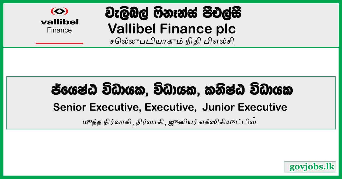 Senior Executive - Marketing / Executive - Marketing / Junior Executive - Marketing - Vallibel Finance PLC Job Vacancies 2024