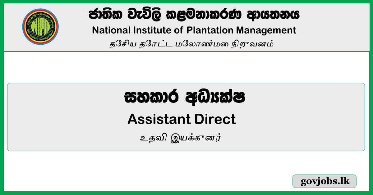 Assistant Director – National Institute of Plantation Management Job Vacancies 2024