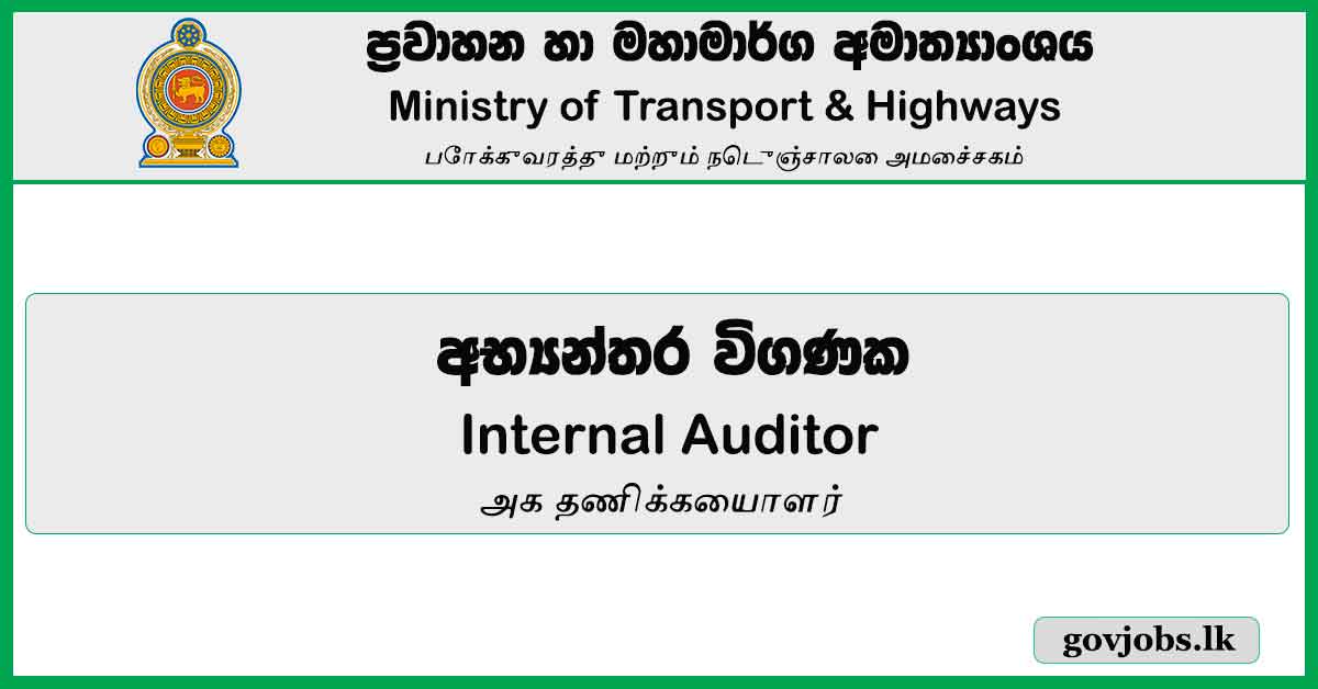 Internal Auditor – Ministry of Transport & Highways Job Vacancies 2024