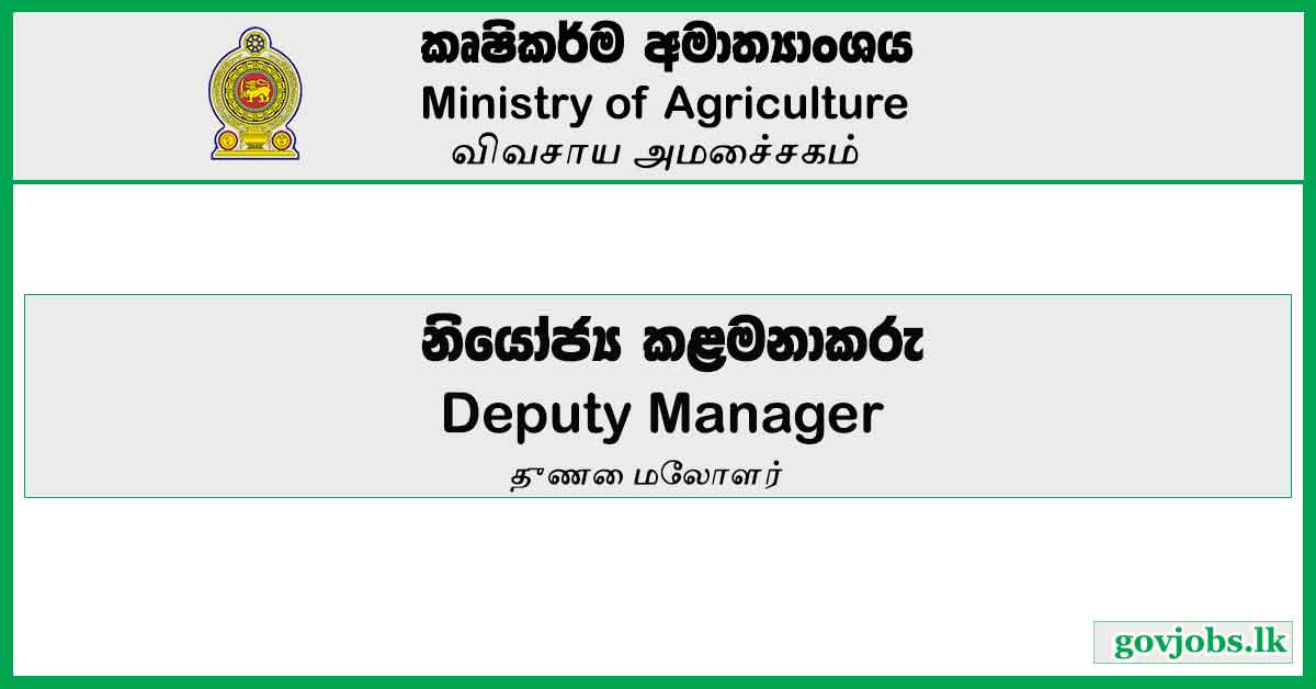 Deputy Manager - Ministry of Agriculture Job Vacancies 2024