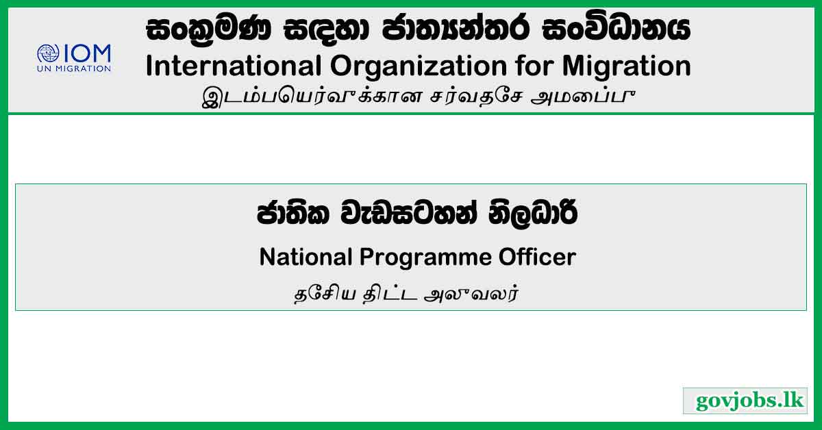 National Programme Officer – International Organization for Migration Job Vacancies 2024