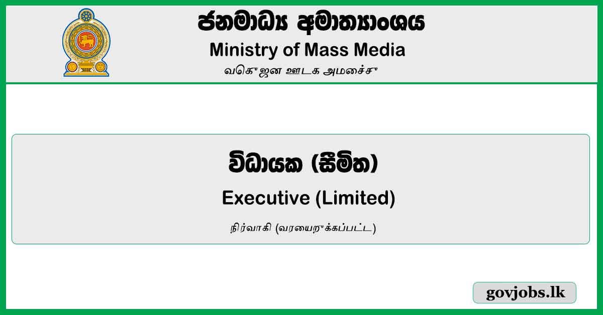 Executive (Limited) - Ministry Of Mass Media Job Vacancies 2024