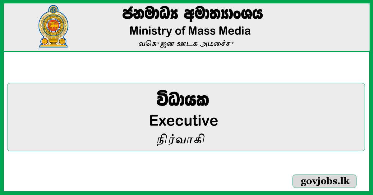 Executive – Ministry of Mass Media Job Vacancies 2024