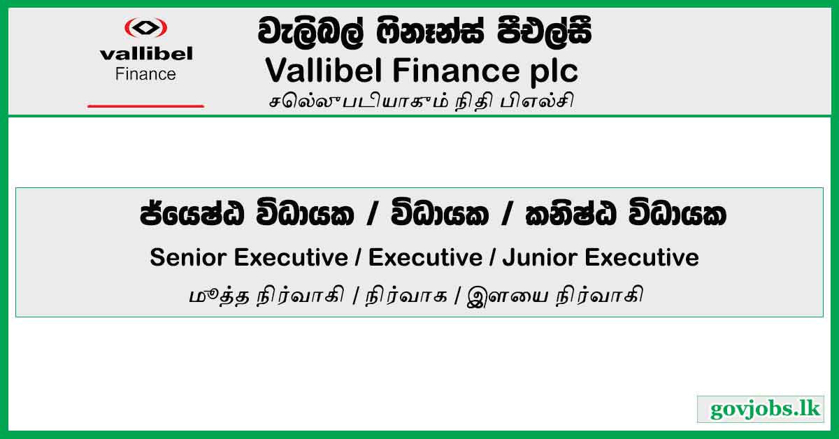 Senior Executive / Executive / Junior Executive - Marketing - Vallibel Finance PLC Job Vacancies 2024