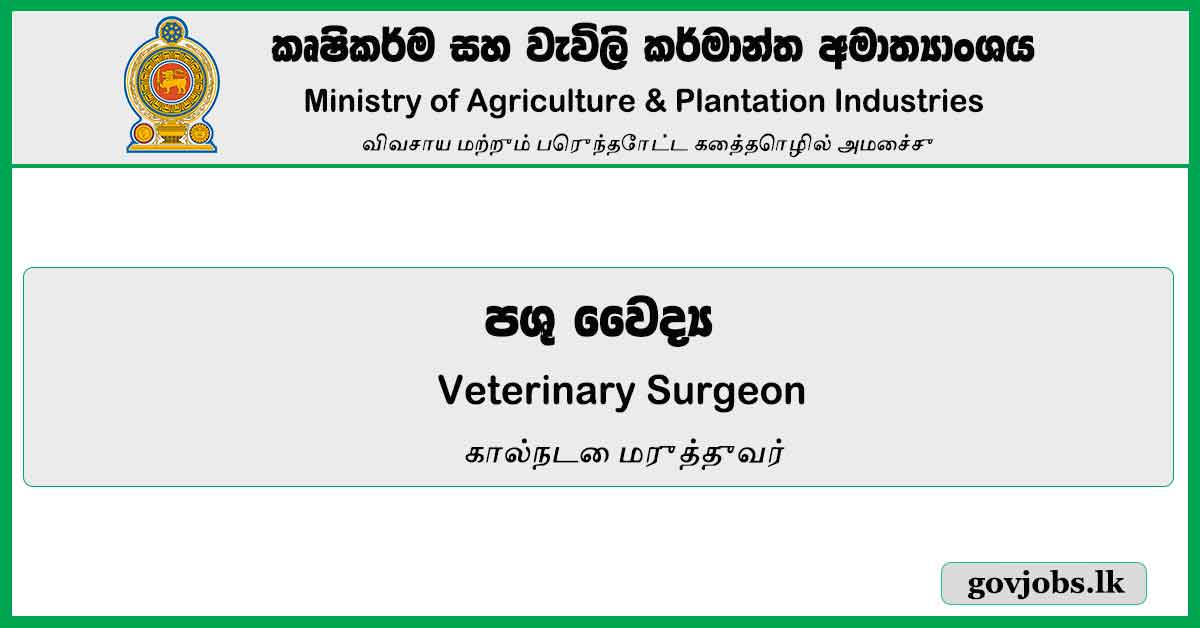 Veterinary Surgeon – Ministry of Agriculture & Plantation Industries Job Vacancies 2024