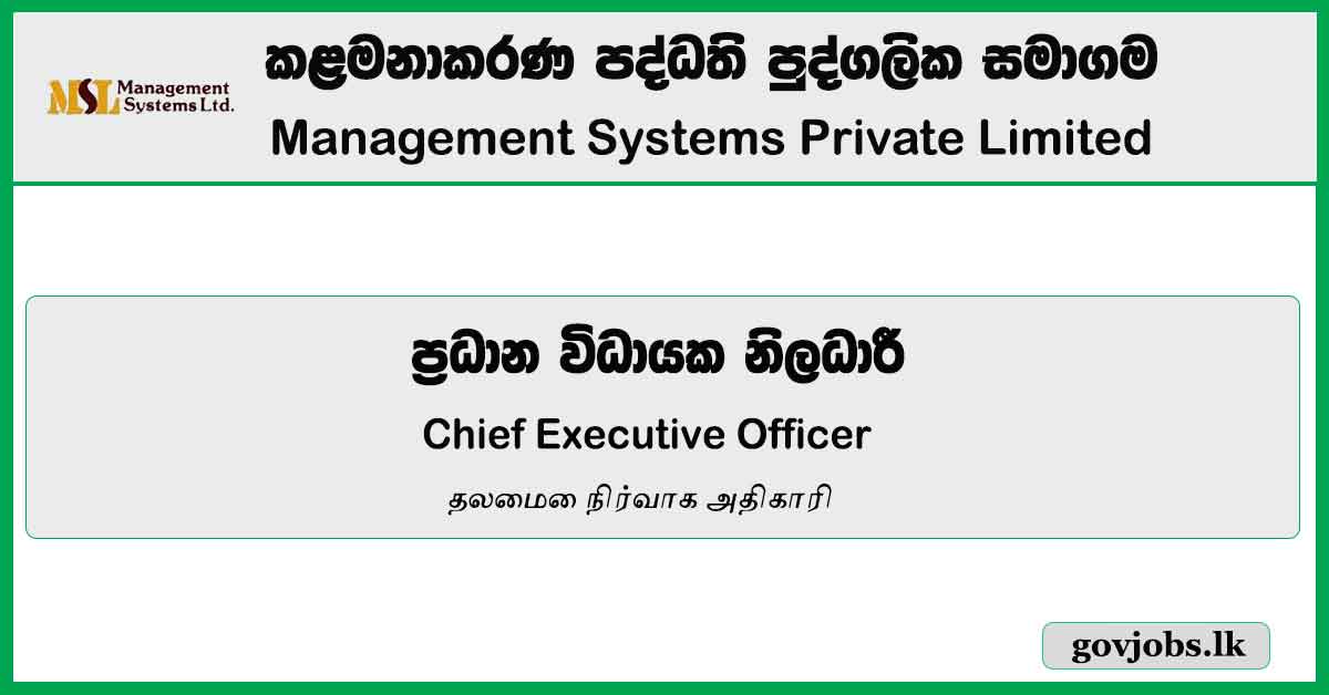 Group Chief Executive Officer – Management Systems Job Vacancies 2024