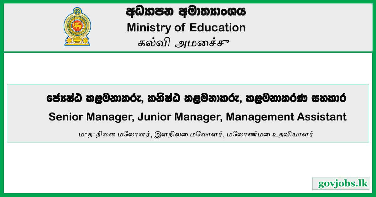 Senior Manager, Junior Manager, Management Assistant - Ministry Of Education Job Vacancies 2024