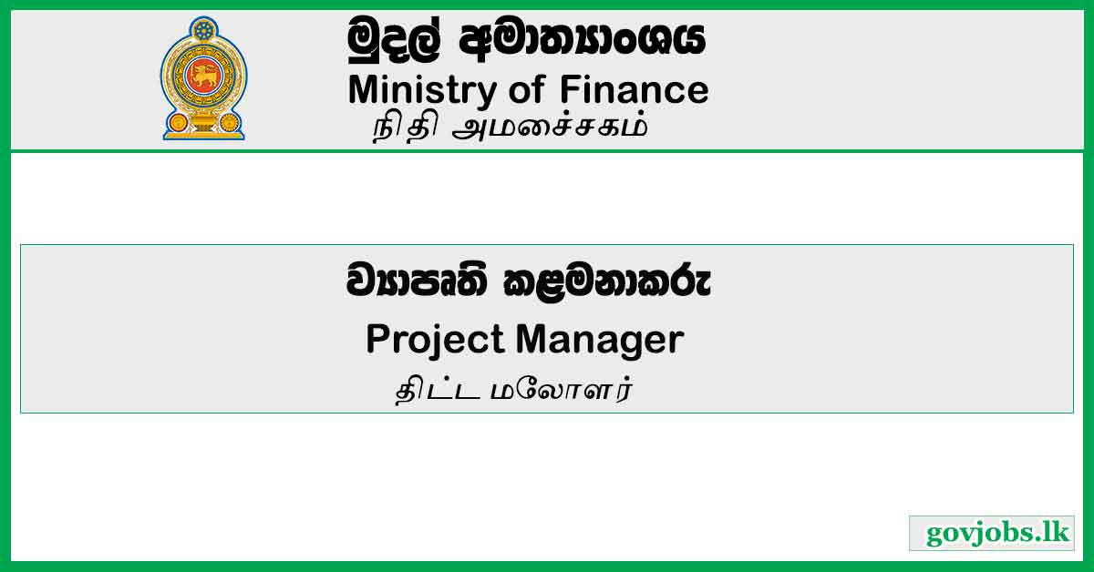 Project Manager - Ministry Of Finance Job Vacancies 2024