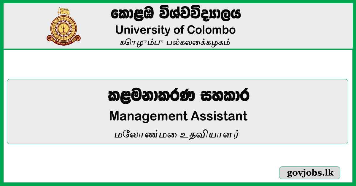 Management Assistant - University Of Colombo Job Vacancies 2024