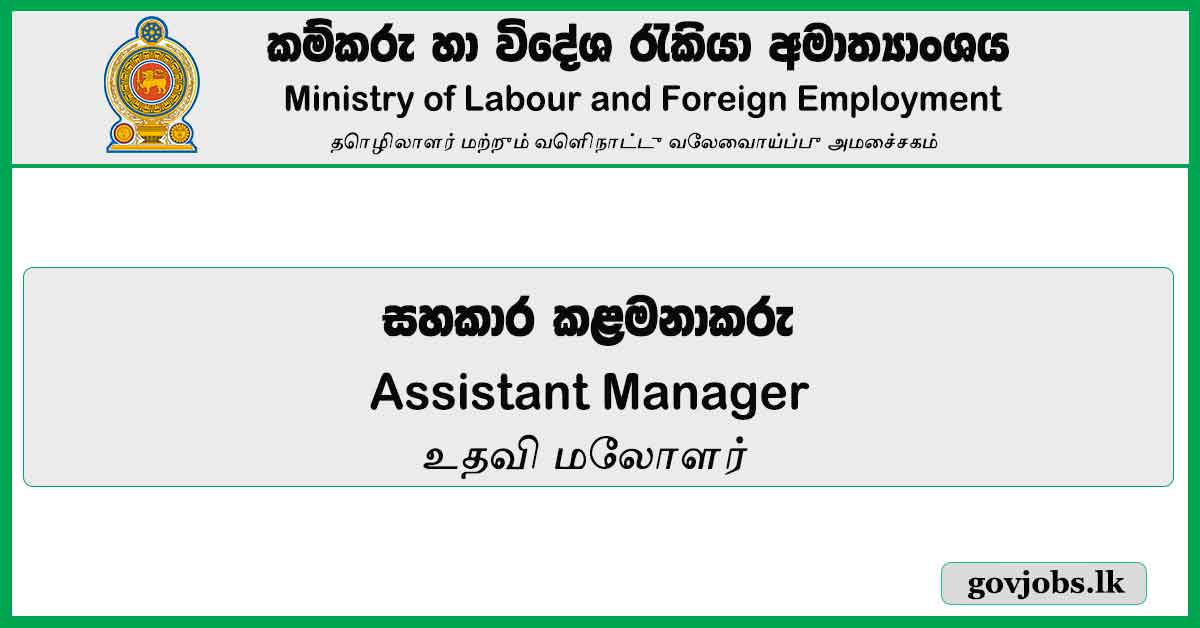 Assistant Manager - Ministry Of Labour And Foreign Employment Job Vacancies 2024