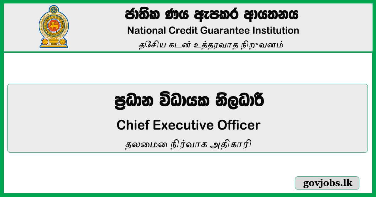 Chief Executive Officer - National Credit Guarantee Institution Job Vacancies 2024