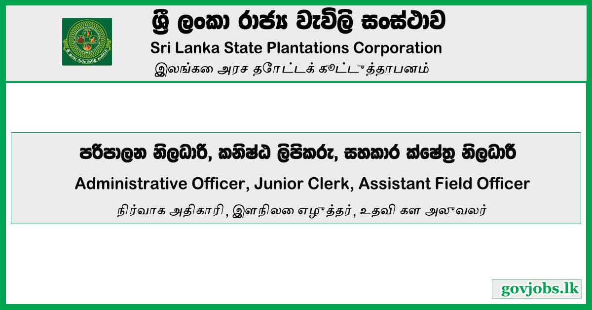 Administrative Officer, Junior Clerk, Assistant Field Officer - Sri Lanka State Plantations Corporation Job Vacancies 2024