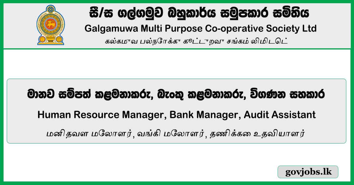 Human Resource Manager, Bank Manager, Audit Assistant - Galgamuwa Multi Purpose Co-Operative Society Ltd Job Vacancies 2024