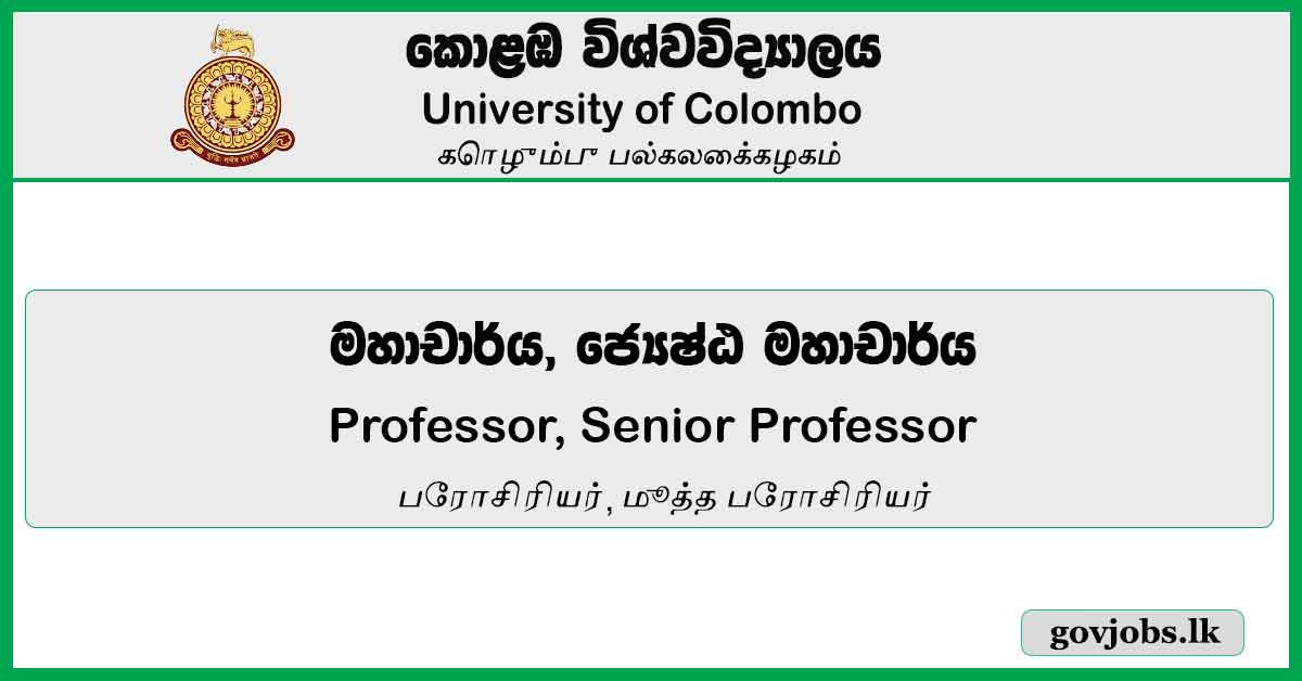 Professor, Senior Professor - University Of Colombo Job Vacancies 2024