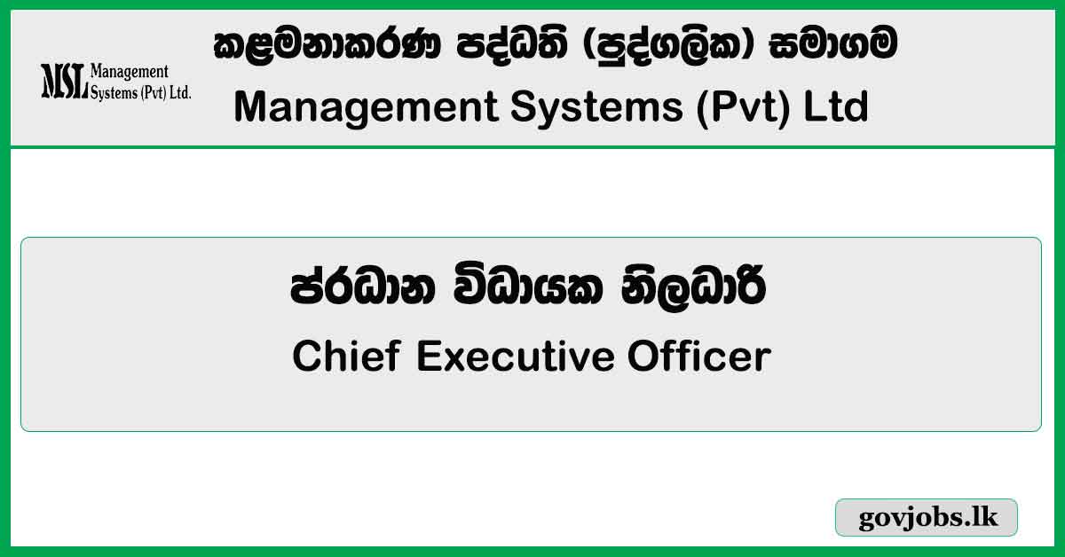 Chief Executive Officer - Management Systems (Pvt) Ltd Job Vacancies 2024