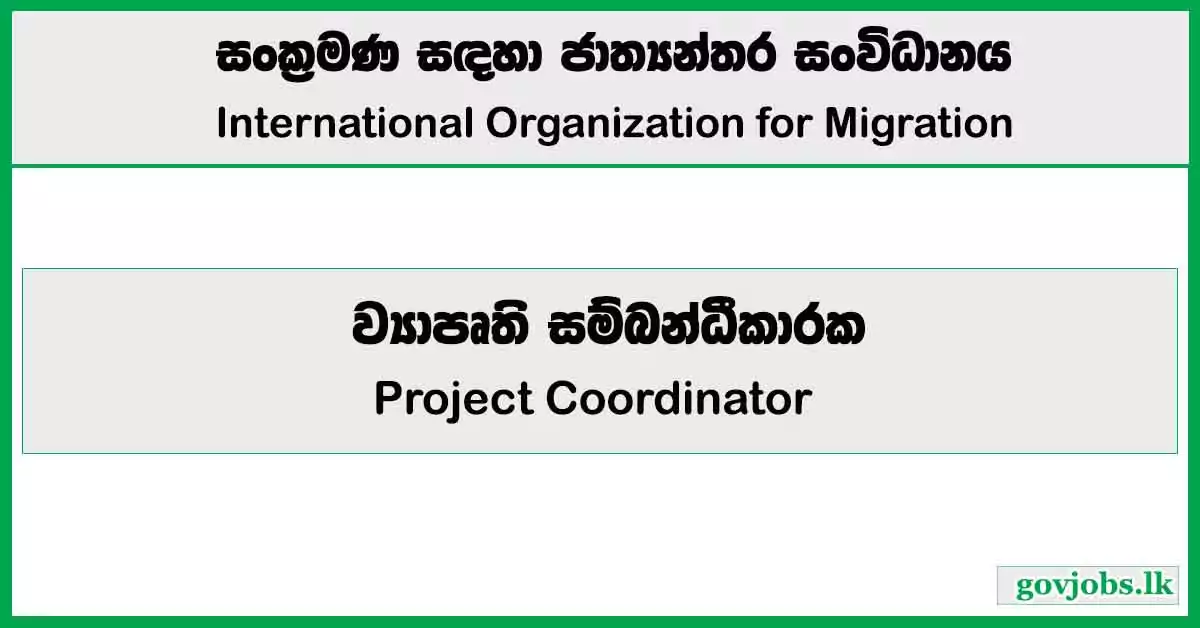 Project Coordinator - International Organization for Migration Job Vacancies 2024