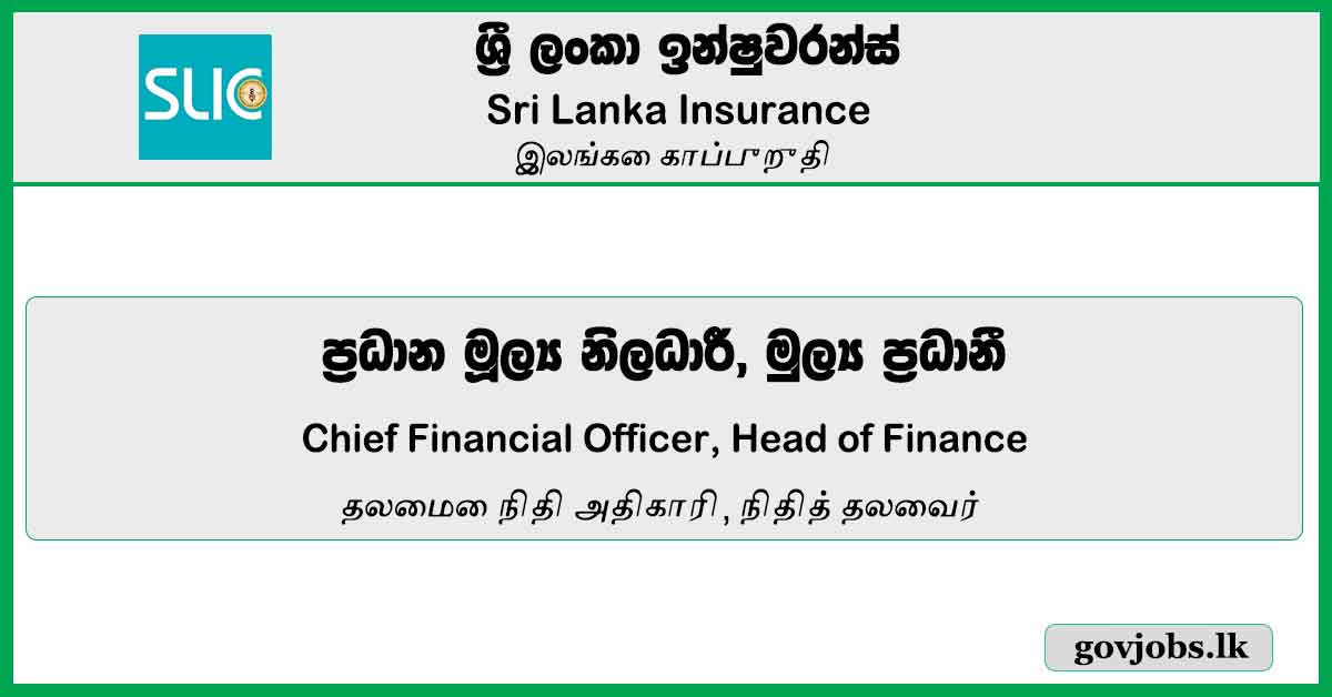 Chief Financial Officer, Head of Finance – Sri Lanka Insurance Job Vacancies 2024