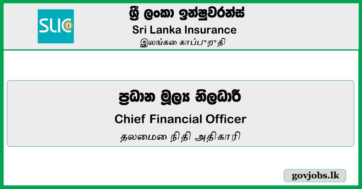 Chief Financial Officer - Sri Lanka Insurance Job Vacancies 2024