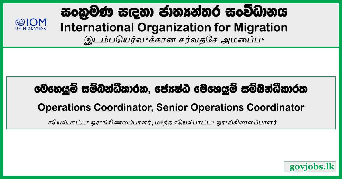 Operations Coordinator, Senior Operations Coordinator - International Organization For Migration Job Vacancies 2024