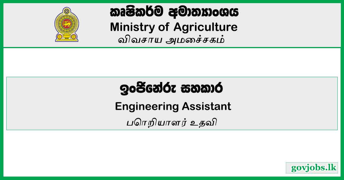 Engineering Assistant - Ministry Of Agriculture Job Vacancies 2024