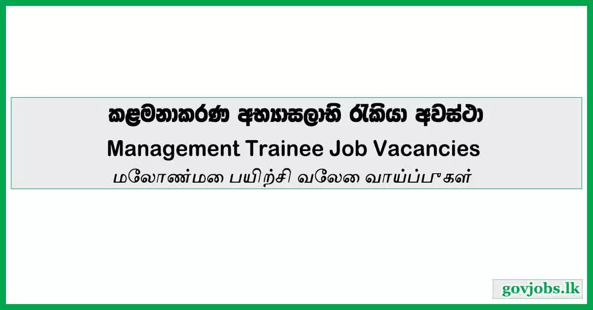 Management Trainee - Senok Trade Combine Limited Job Vacancies 2024