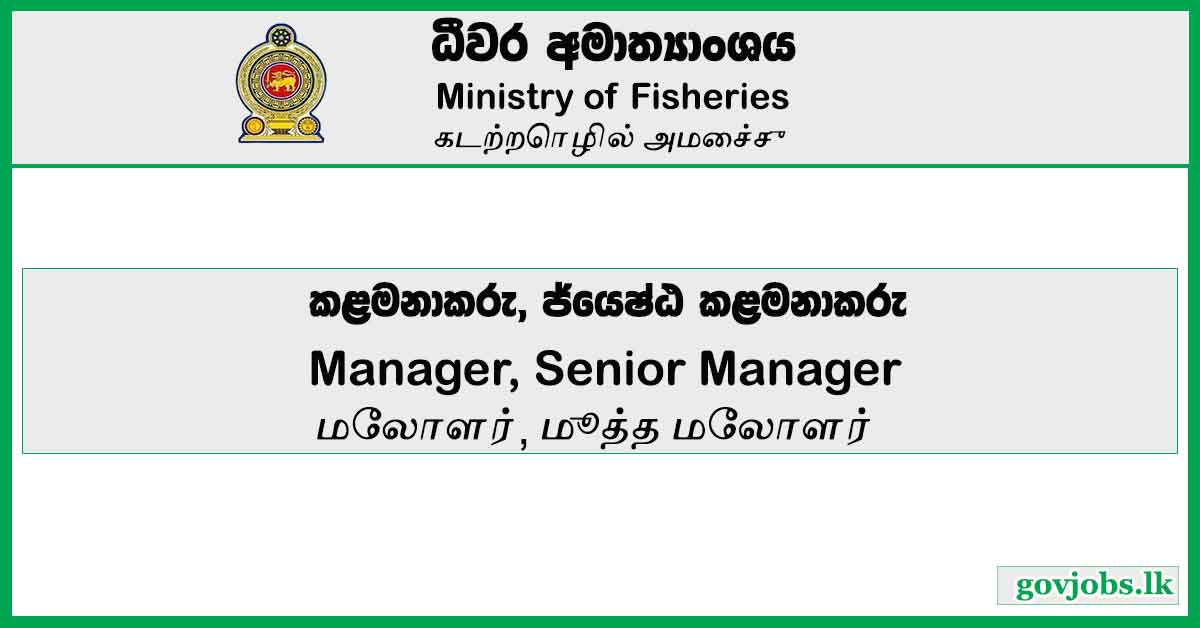 Manager, Senior Manager – Ministry of Fisheries Vacancies 2023