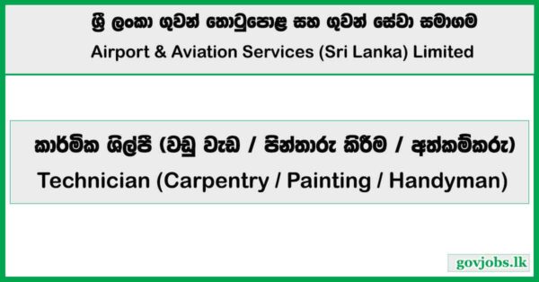 Technician (Carpentry / Painting / Handyman) - Airport and Aviation Services Private Limited Job Vacancies 2026