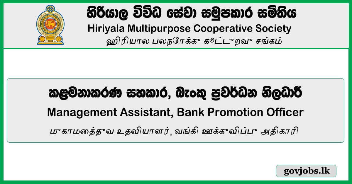 Management Assistant, Bank Promotion Officer Vacancies 2023 - Hiriyala Multipurpose Cooperative Society