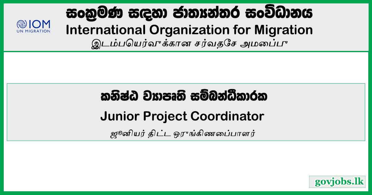 Junior Project Coordinator - International Organization For Migration Vacancies 2023