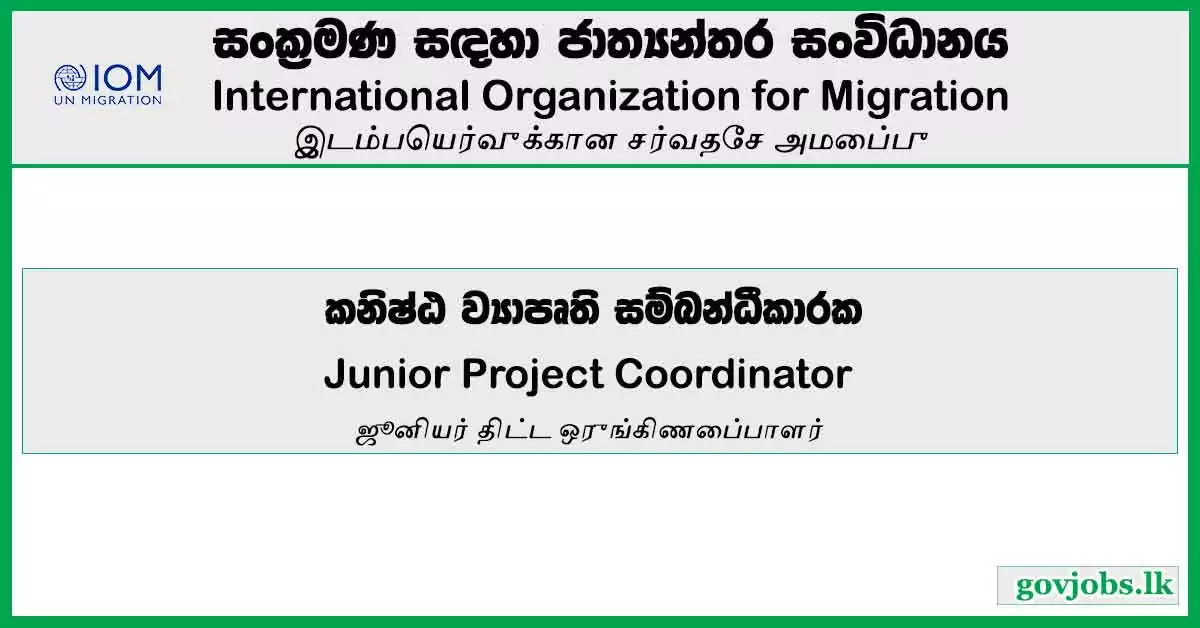 Junior Project Coordinator - International Organization For Migration Job Vacancies 2024