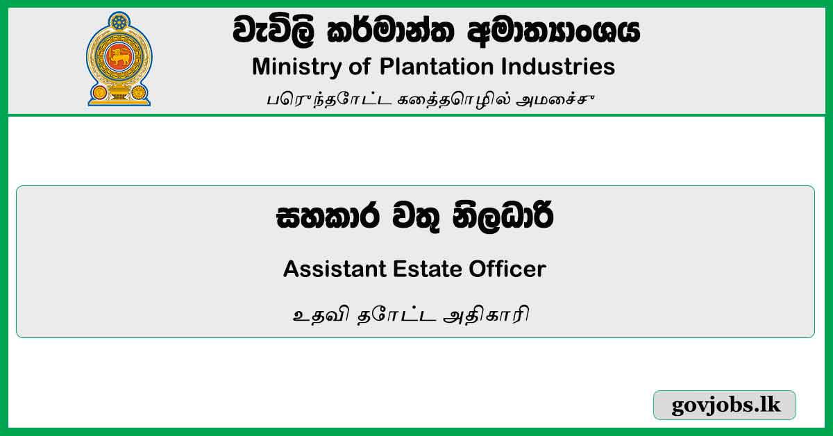 Assistant Estate Officer - Ministry Of Plantation Industries Vacancies 2023