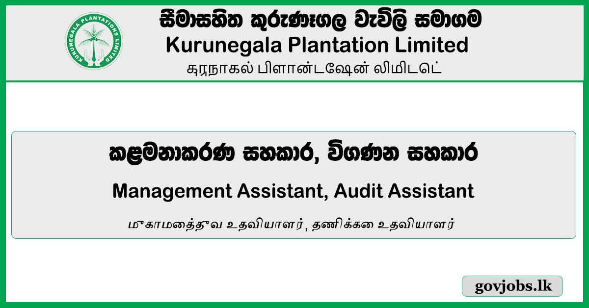 Management Assistant, Audit Assistant - Kurunegala Plantation Limited Vacancies 2023