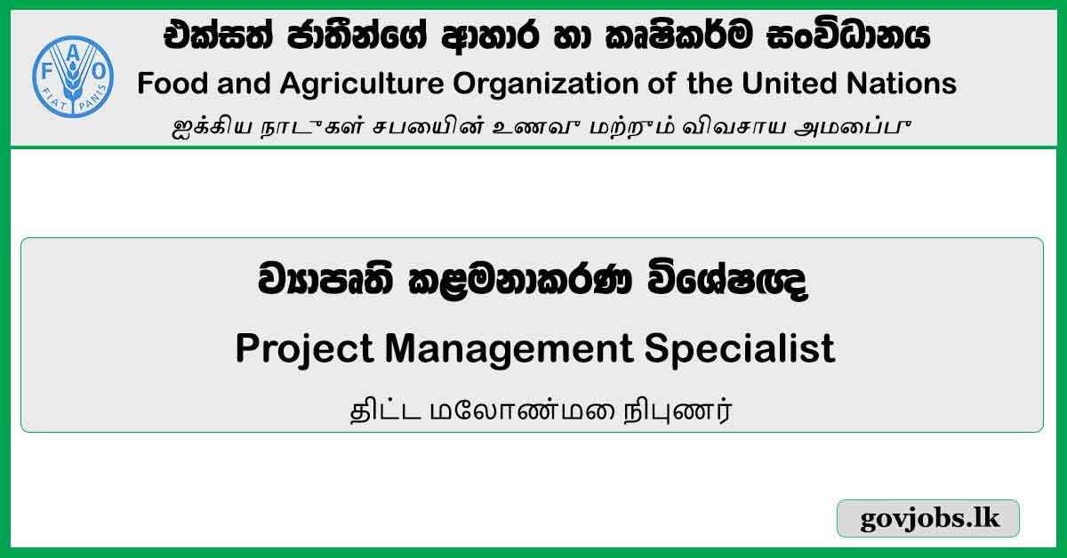 Project Management Specialist - Food And Agriculture Organization Of The United Nations Job Vacancies 2024