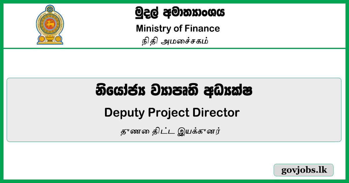 Deputy Project Director - Ministry Of Finance Job Vacancies 2023