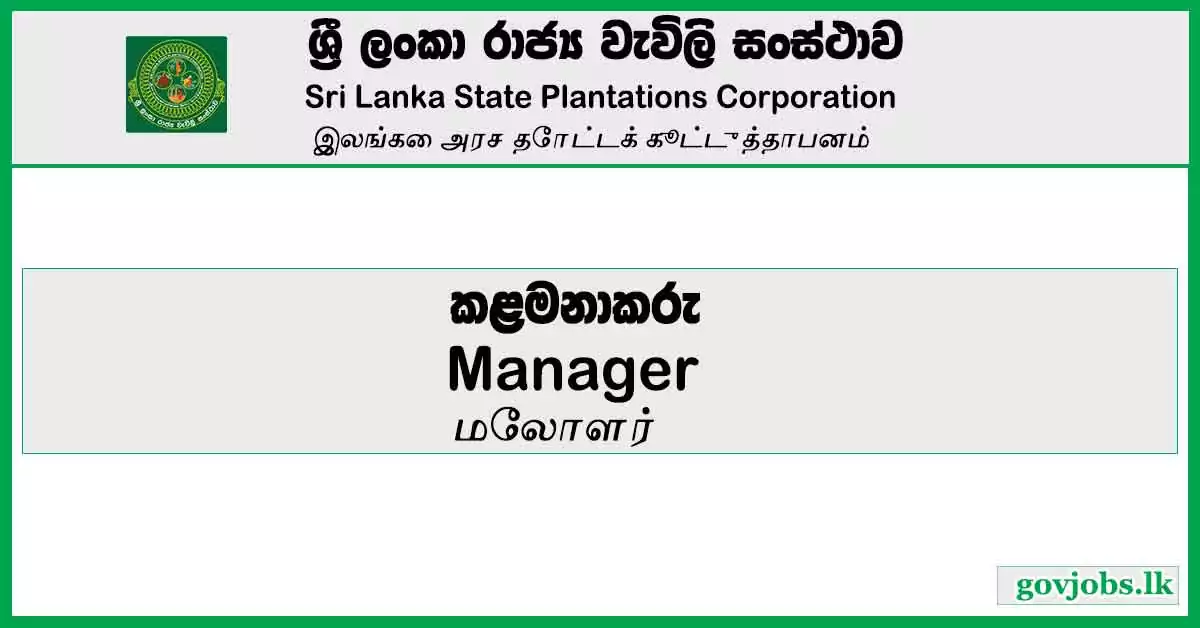 Manager - Sri Lanka Plantations Corporation Job Vacancies 2024