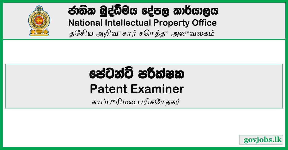Patent Examiner - National Intellectual Property Office