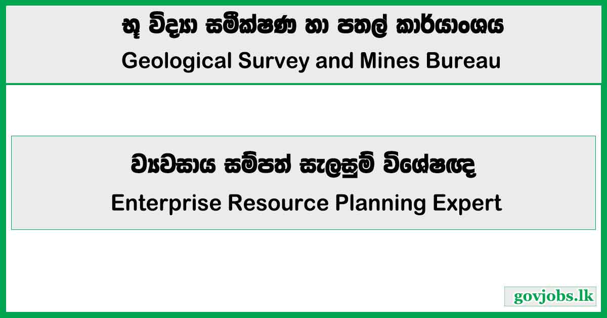 Enterprise Resource Planning Expert - Geological Survey and Mines Bureau Job Vacancies 2024