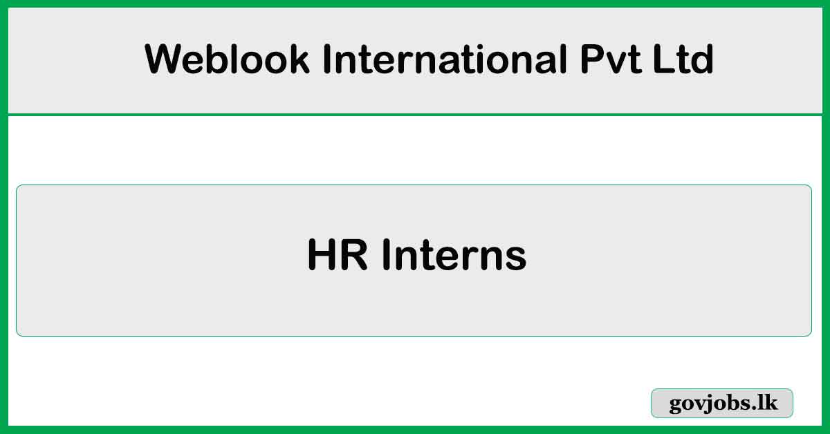 HR Interns - Weblook International Pvt Ltd Job Vacancies 2024