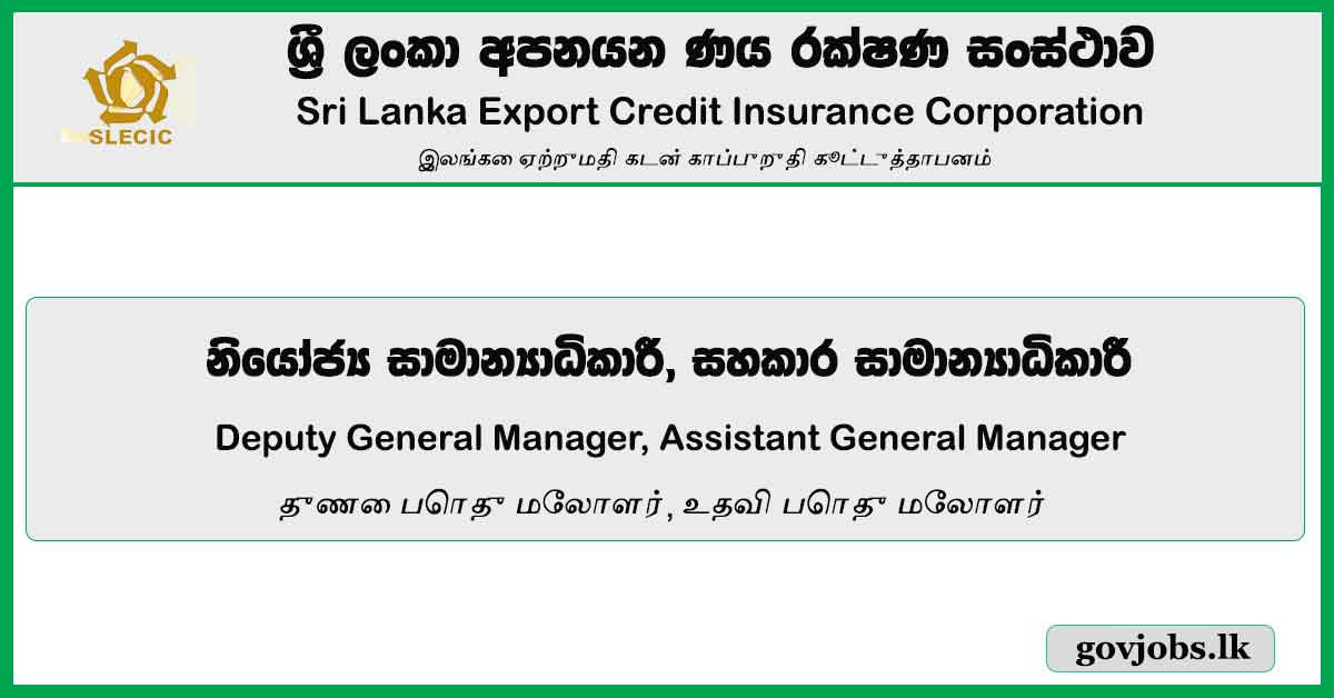 Deputy General Manager, Assistant General Manager - Sri Lanka Export Credit Insurance Corporation Job Vacancies 2024