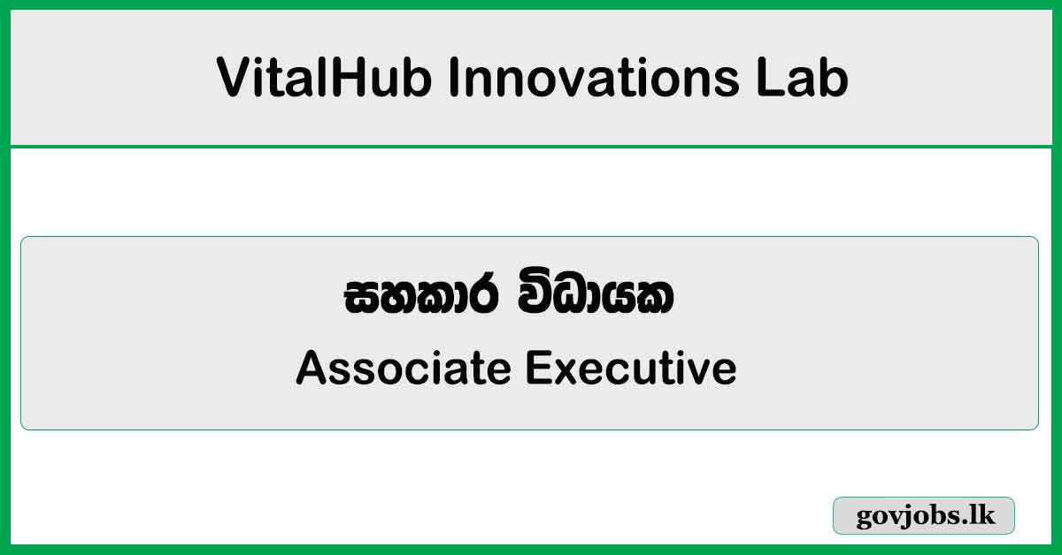 Associate Executive - Finance - VitalHub Innovations Lab Job Vacancies 2024