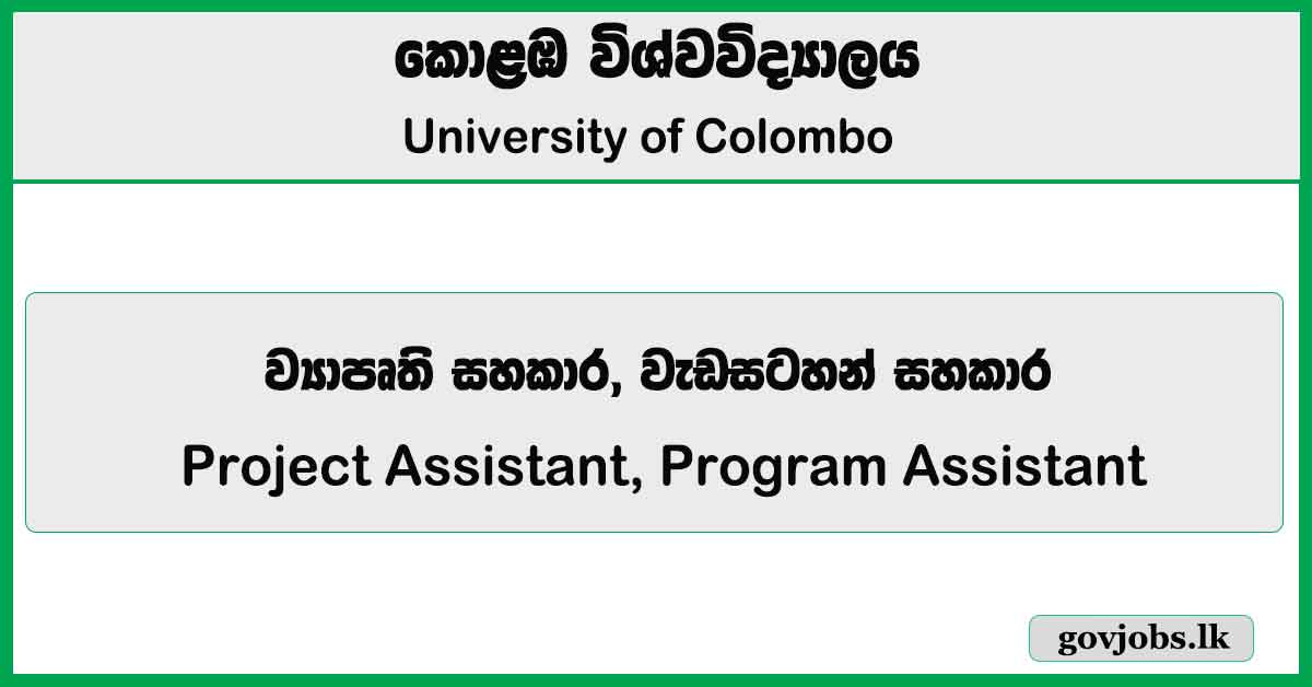 Project Assistant, Program Assistant - University of Colombo Job Vacancies 2024