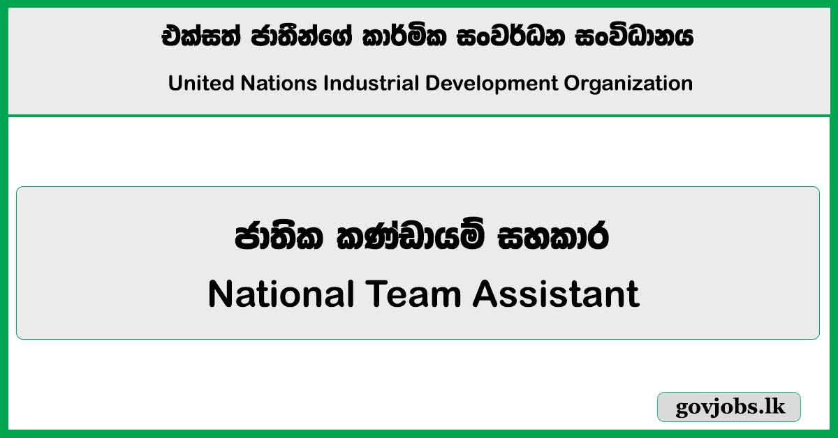 National Team Assistant - United Nations Industrial Development Organization Job Vacancies 2024