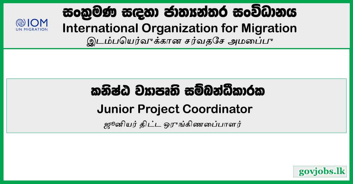 Junior Project Coordinator - International Organization For Migration Job Vacancies 2024