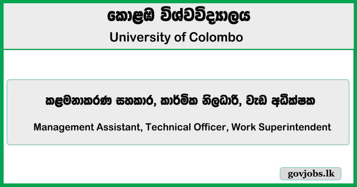 Management Assistant, Technical Officer, Work Superintendent - University of Colombo Job Vacancies 2024