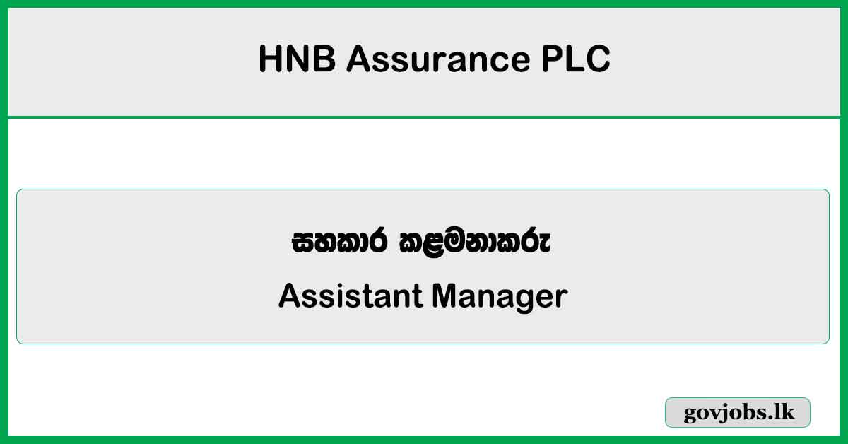 Assistant Manager - Business Process Excellence - HNB Assurance PLC Job Vacancies 2024