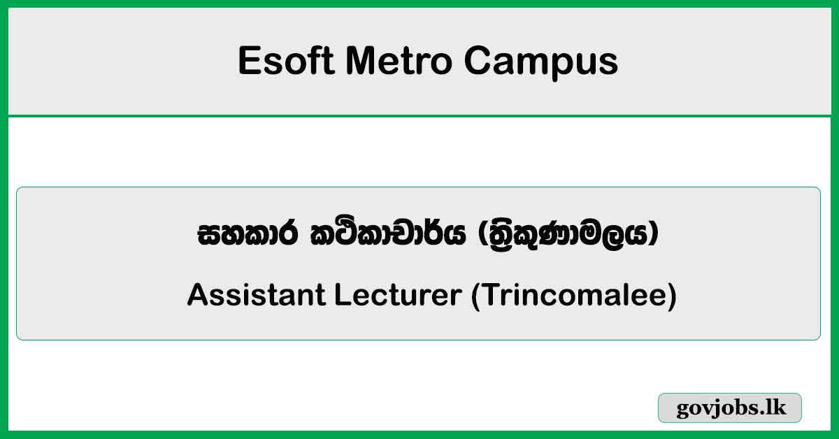 Assistant Lecturer (Trincomalee) – Esoft Metro Campus Job Vacancies 2024