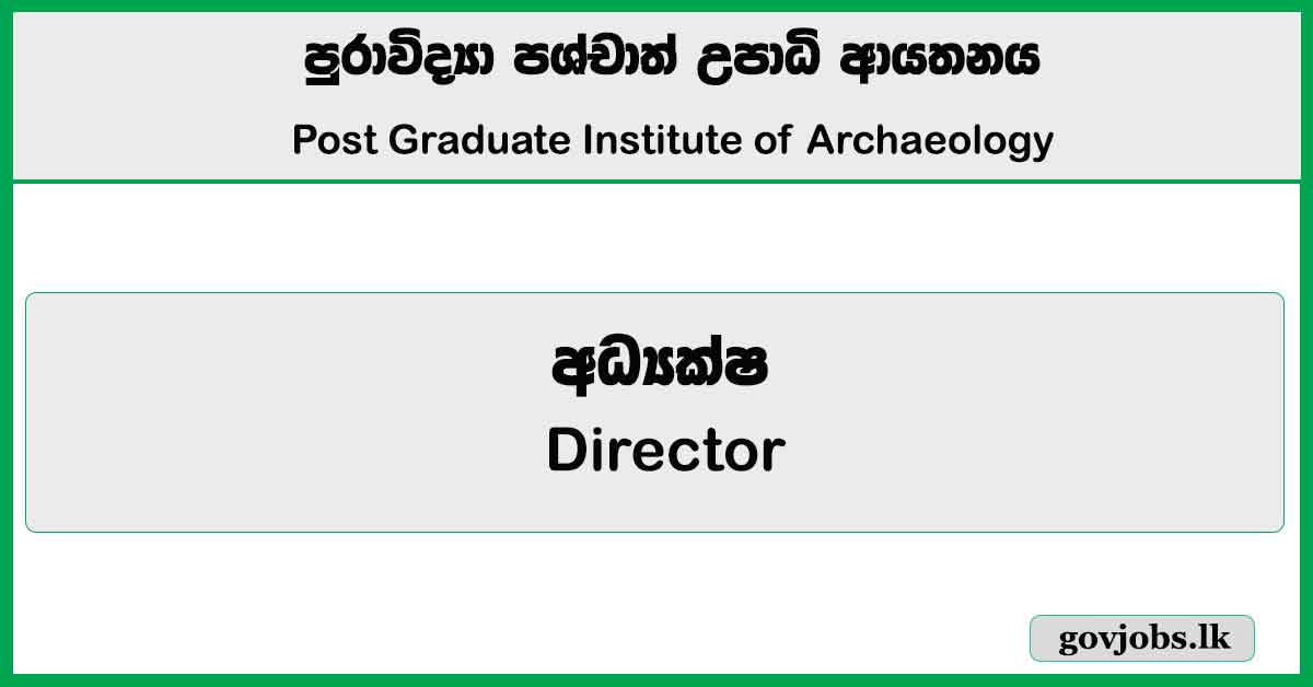 Director - Post Graduate Institute of Archaeology Job Vacancies 2024